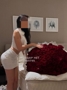 Проститутка Шымкента Анкета №405795 Фотография №3377322